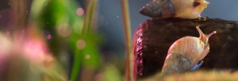 中年男女的婚姻都不幸怎么办？