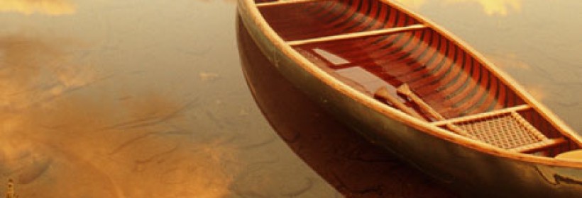 单身男人女人如何预防诈骗？