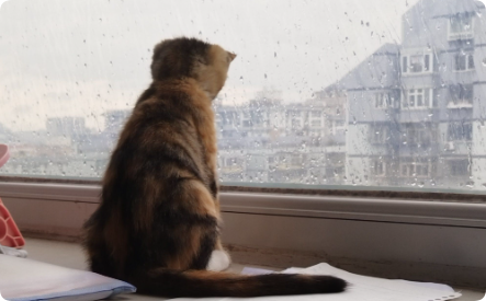 思考的本质是什么?