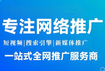 武汉林讯科技网络推广服务_DAZUI123