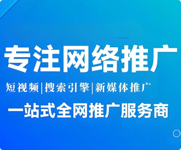 武汉林讯科技网络推广服务_DAZUI123