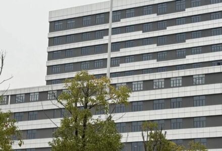 第二份工作：我以为进了正规公司，后来发现只是更大的草台班子_DAZUI123