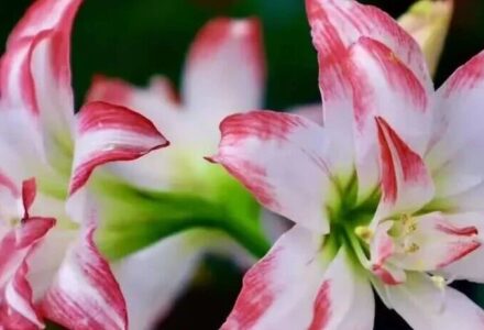 书读得多了你就会发现：和一个异性在一起久了，无论你态度多好，多么忠诚，一旦对方的状态不好，你就是“眼中钉，肉中刺”_DAZUI123