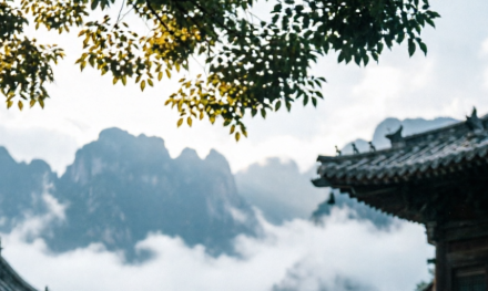 蛰伏期如何避免自我怀疑？_DAZUI123