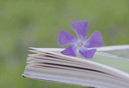 人到中年才懂得钱钟书《围城》笔下的方鸿渐：那个“全无用处”的好人，是多少女人婚姻里的噩梦_DAZUI123