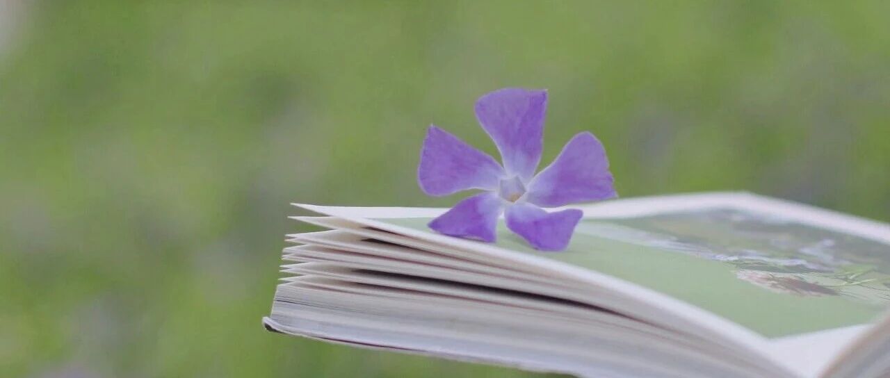 人到中年才懂得钱钟书《围城》笔下的方鸿渐：那个“全无用处”的好人，是多少女人婚姻里的噩梦_DAZUI123