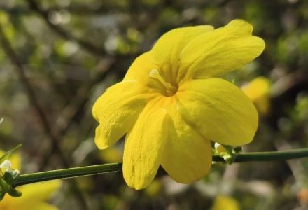 发布广告获利3.68元，被罚30万元，这给所有博主敲响了警钟，广告别乱发！_DAZUI123