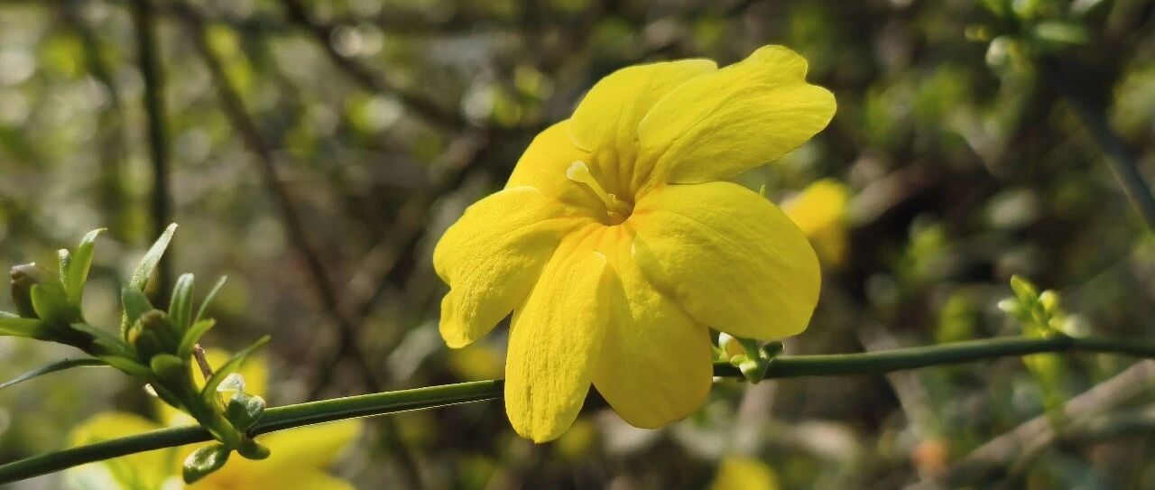 发布广告获利3.68元，被罚30万元，这给所有博主敲响了警钟，广告别乱发！_DAZUI123