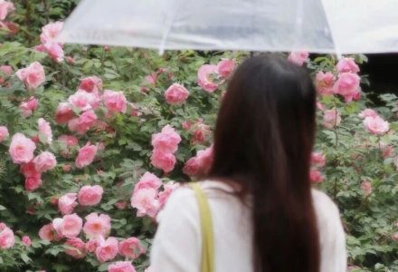 讨厌父母，是成长的开始；原谅父母，是成熟的标志；理解父母，才是人生真正的通透_DAZUI123