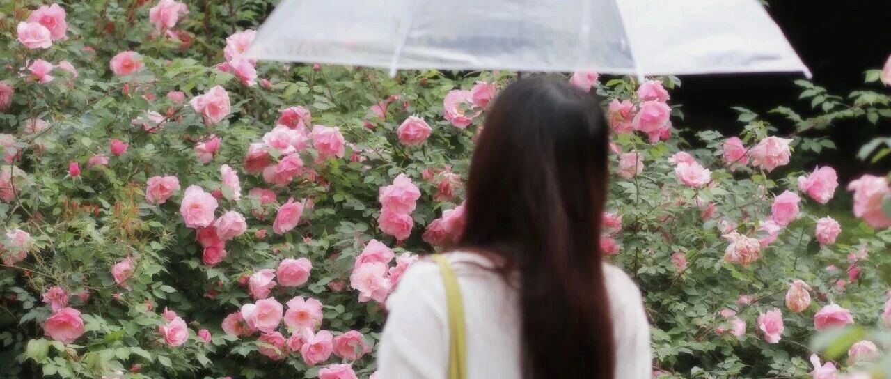 讨厌父母，是成长的开始；原谅父母，是成熟的标志；理解父母，才是人生真正的通透_DAZUI123