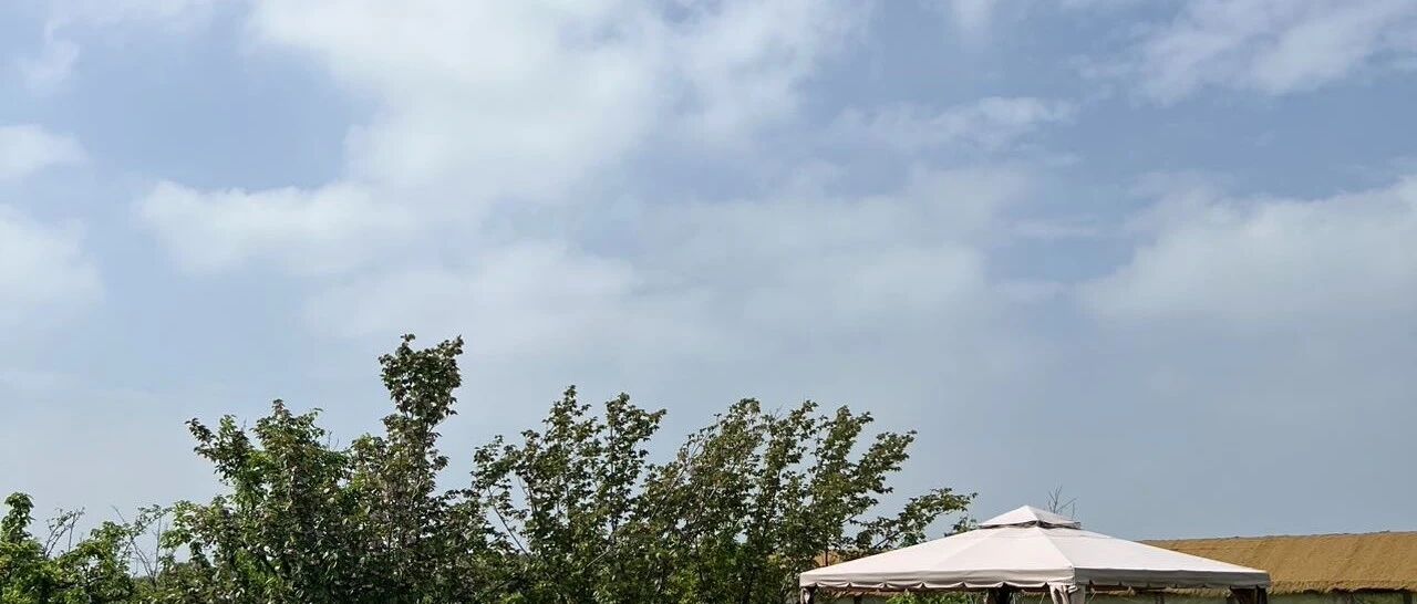脱掉了孔乙己的长衫，我买了4套房。_DAZUI123