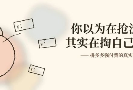 26年的拼多多强付费，看完这篇就够了（4679字pro版）_DAZUI123