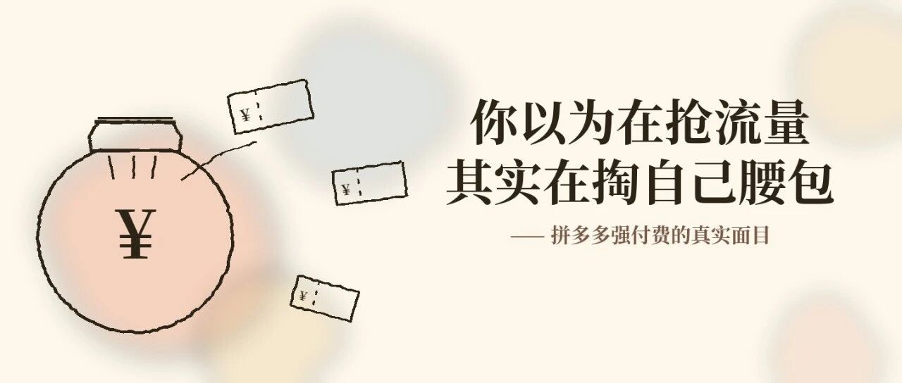 26年的拼多多强付费，看完这篇就够了（4679字pro版）_DAZUI123